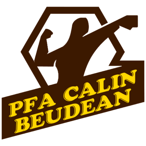Calin Beudean PFA